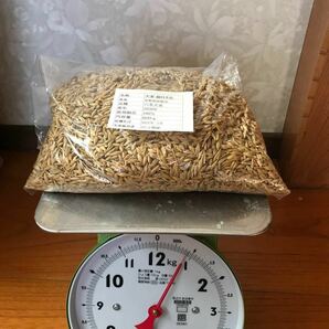 麦茶用六条大麦殻付き700g 