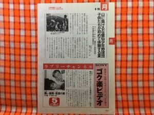 CN20482◆切抜き◇黒木瞳いかりや長介雲仙少年野球団◇黒い画集・坂道の家・松本清張作家活動40年記念ドラマスペシャル・子供達の特別な夏