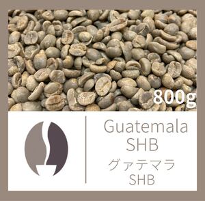 Guatemala SHB (グァテマラSHB) Qグレード ニュークロップ コーヒー生豆