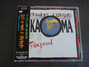 CD　KAOMA/TRIBAL　PURSUIT　カオマ/たご・まご