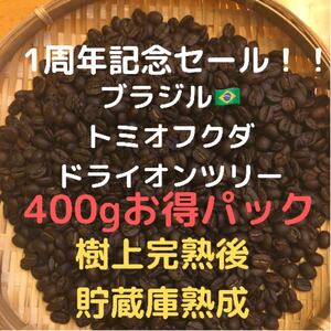 自家焙煎 ブラジル トミオフクダ ドライオンツリー400g(豆又は粉)匿名配送
