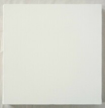 画材 油絵 アクリル画用 張りキャンバス 純麻 絹目 FS S40号サイズ_画像3