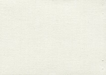 画材 油絵 アクリル画用 張りキャンバス 綿化繊 綿化繊混紡 TC S40号サイズ 10枚セット_画像2