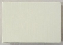 画材 油絵 アクリル画用 張りキャンバス 純麻 中目荒目 AX SMサイズ 30枚セット_画像3