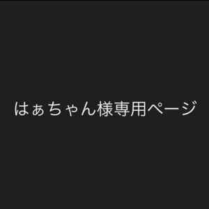 はぁちゃん様専用ページ