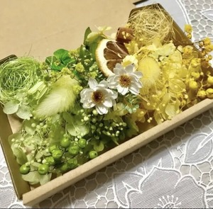  Kiyoshi . green & yellow * material for flower arrangement assortment 