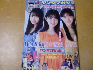 ヤングマガジン　　2020.11.16 No.49　　　上村ひなの / 筒井あやめ / 山﨑天