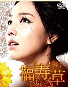 ドラマ 福寿草 DVD