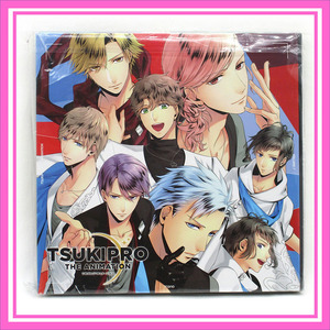 TSUKIPRO THE ANIMATION Blu-ray DVD 購入特典 ◆ 缶バッジ17個セット ／ 1点 美品