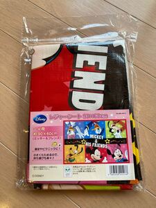 レジャーシート 1人用 ディズニー