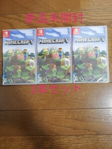 Nintendo Switch Minecraft マインクラフト 3本セット