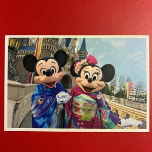 ヤフオク 東京ディズニー お正月の中古品 新品 未使用品一覧