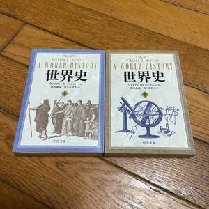 ☆世界史 (上)(下) ウィリアム・H・マクニール 中公文庫 2冊セット☆