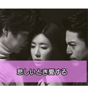 悲しい時愛する 韓国ドラマ Blu-ray 全話