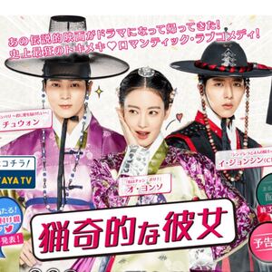猟奇的な彼女 韓国ドラマ Blu-ray 全話