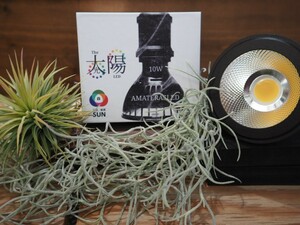◆アマテラス LED10W /植物育成ライト チランジア アガベ ビカクシダ-21