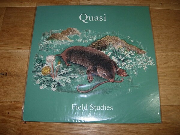 Quasi Field Studies Analog レコード