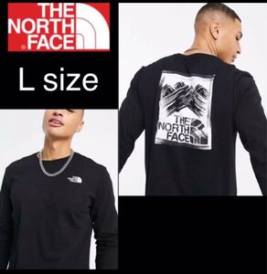 ザ ノースフェイス Tシャツ長袖 ロンT ストロークマウンテン 海外限定 L