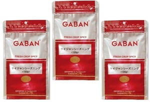 GABAN　ケイジャンシーズニング　（袋）　100ｇ×3袋　　　【ミックススパイス　ハウス食品　香辛料　パウダー　業務用】