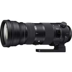 中古 １年保証 美品 SIGMA Sports 150-600mm F5-6.3 DG OS HSM ニコン