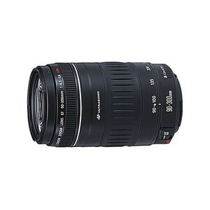 中古 １年保証 美品 Canon EF 90-300mm F4.5-5.6 USM