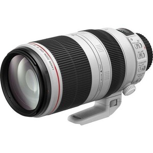 中古 １年保証 美品 Canon EF 100-400mm F4.5-5.6L IS II USM