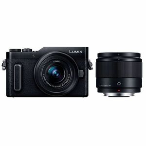 中古 １年保証 美品 Panasonic LUMIX DC-GF10 ダブルレンズキット 12-32mm + 25mm ブラック