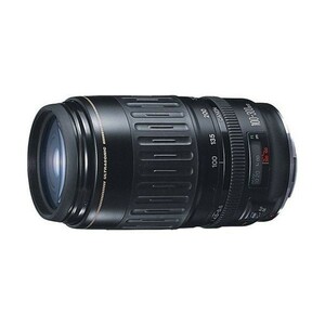 中古 １年保証 美品 Canon EF 100-300mm F4.5-5.6 USM