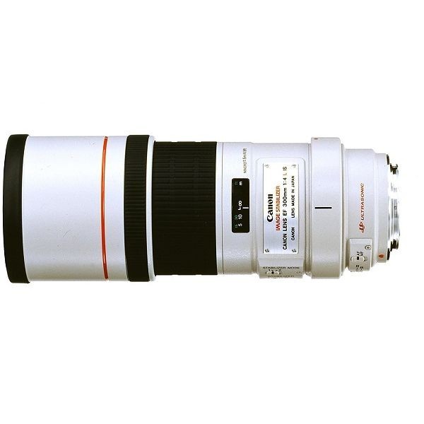 CANON EF300mm F4L USM オークション比較 - 価格.com