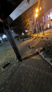 ★さやか様★専用