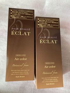 ヘアボーテエクラボタニカルエアカラーフォームダークブラウン80g