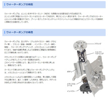 トヨタ ハイラックスサーフ GMB ウォーターポンプ GWT-116AM KZN130G KZN130W H05.08 - H07.11_画像4