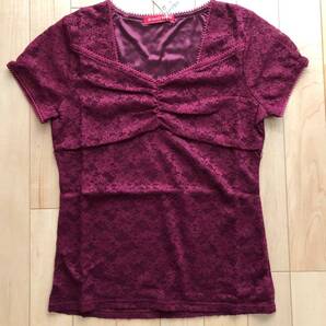 IMAGE 総レースカットソー ワインレッド M