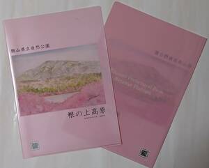 クリアファイル×2枚　胞山県立自然公園：根の上高原（岐阜県中津川市・恵那市）ピンク系/水彩画/さくら