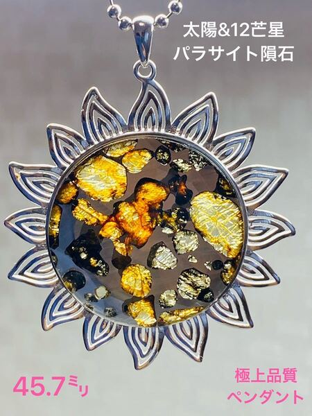 ★太陽&12芒星 パラサイト隕石 ネックレス 極上品質 パラサイト 隕石 セリコ隕石 石鉄隕石 45.7㍉ 石鉄隕石 ネックレス