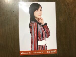 乃木坂46 ウエストベルト 生田絵梨花 生写真 2020.October-Ⅲ チュウ