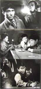 *2106M064 日活映画スチル「飢えた牙」22枚 沢本忠雄、香月美奈子 1960年製作