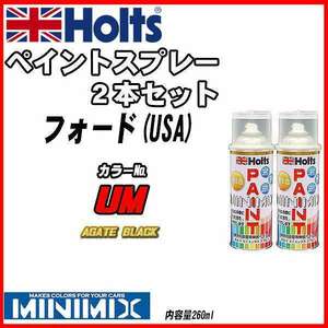 ペイントスプレー 2本セット フォード(USA) UM AGATE BLACK Holts MINIMIX