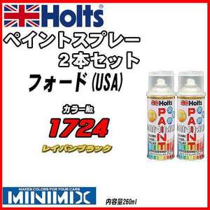 ペイントスプレー 2本セット フォード(USA) 1724 レイバンブラック Holts MINIMIX