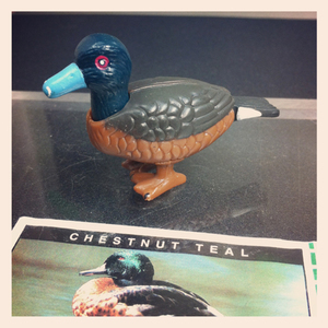 FIG-ken1894 ＹＯＷiＥ ヤウイ 1-36 Chestnut teal