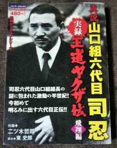 Bibian 比比昂 日本代標 日本代購 美國代標 美國代購 日本雅虎拍賣 日本美國推薦代購