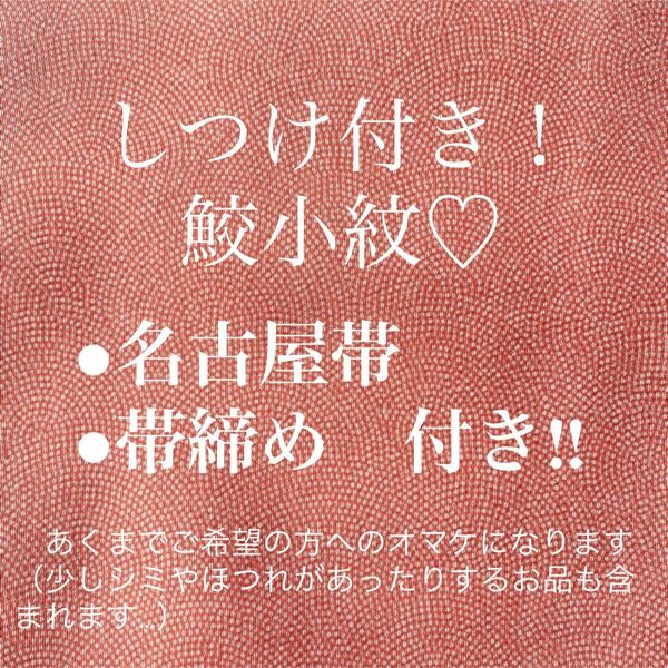 一部しつけ付き　紋なし　鮫小紋　江戸小紋　美品　名古屋帯　帯締め　セット