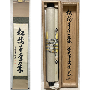 01473 前大徳寺 足立泰道 作 「松樹千年翠」掛軸（共箱）茶道具（茶掛/紫野）