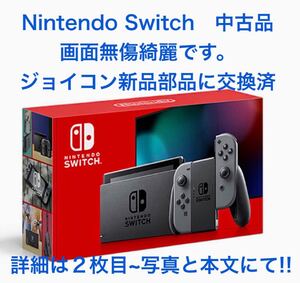Nintendo Switch ニンテンドースイッチ Nintendo Switch本体 任天堂 グレー 中古品