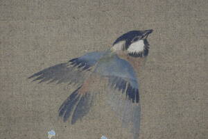 Art hand Auction [نسخة] تاني بونشو/أزهار الكرز والطيور الصغيرة/طيور صغيرة/لفافة معلقة☆تاكارابوني☆Y-511 JM, تلوين, اللوحة اليابانية, الزهور والطيور, الطيور والوحوش