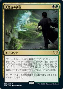 MTG ■金/日本語版■ 《大急ぎの再誕/Rushed Rebirth》ストリクスヘイブン STX