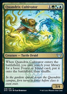 MTG ■金/英語版■ 《クアンドリクスの栽培者/Quandrix Cultivator》★FOIL★ストリクスヘイブン STX