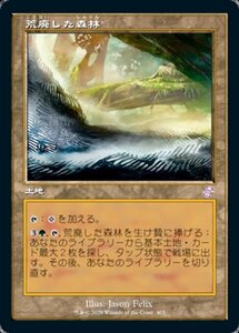 MTG ■土地/日本語版■ 《荒廃した森林/Blighted Woodland》▲旧枠▲ 時のらせんリマスタ－ TSR