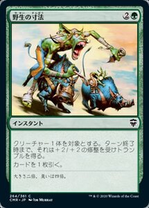 MTG ■緑/日本語版■ 《野生の寸法/Wildsize》統率者レジェンズ　CMR