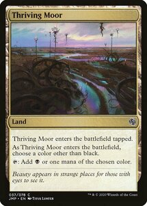 MTG ■土地/英語版■《興隆する湿地帯/Thriving Moor》ジャンプスタート JMP